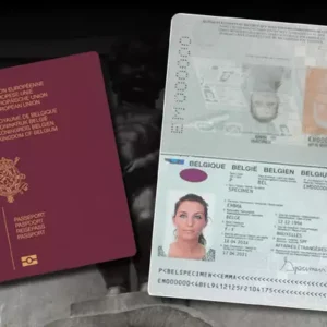 BELGIAN PASSPORT ONLINE